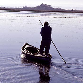 La Albufera