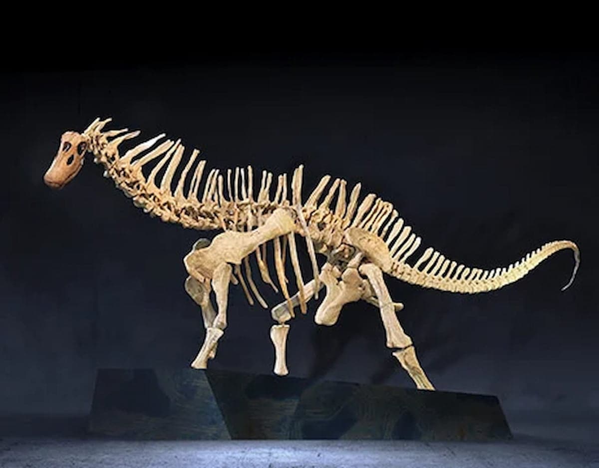 Los dinosaurios más grandes del planeta en CaixaForum