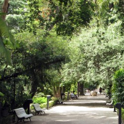 Audioguas en el Jardn Botnico