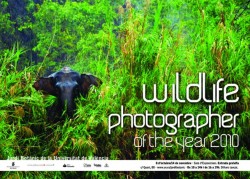 Exposicin Wildlife Photographer of the Year 2010