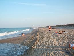 Playa nudista La Devesa del Saler en Valencia Playa nudista La Devesa del Saler en Valencia
